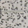 1.ZMD-S good sharpness micron diamond powder