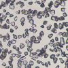 ZMD-S RVD diamond powder